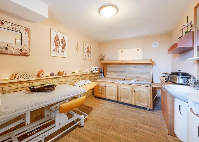 Wellness Andrea Διαμέρισμα Zdíkov